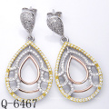 Fashion 925 Silver Micro Pave Earring Jewelry (Q-6467)